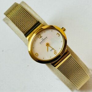 Skagen Steel Mother Of Pearl Women's Oval Gold Stainless Watch Mesh Band 325SGG